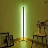 Modern Corner Floor Lamp