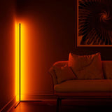 Modern Corner Floor Lamp